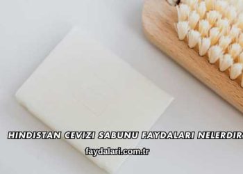 Hindistan Cevizi Sabunu Faydaları Nelerdir?