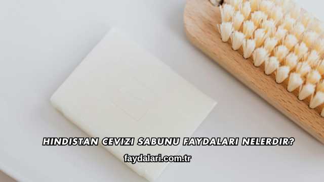 Hindistan Cevizi Sabunu Faydaları Nelerdir?