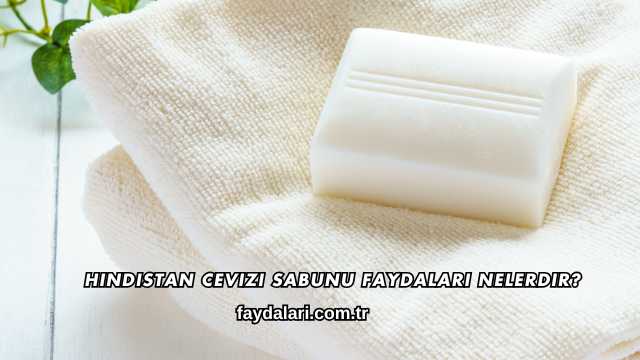 Hindistan Cevizi Sabunu Faydaları Nelerdir?