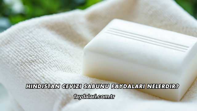 Hindistan Cevizi Sabunu Faydaları Nelerdir?