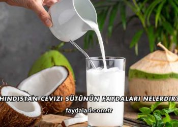 Hindistan Cevizi Sütünün Faydaları Nelerdir?