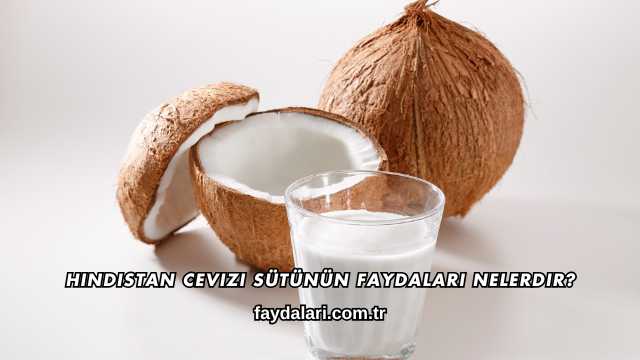 Hindistan Cevizi Sütünün Faydaları Nelerdir?