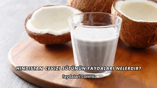 Hindistan Cevizi Sütünün Faydaları Nelerdir?