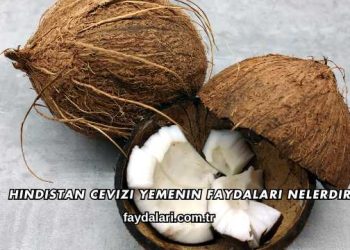 Hindistan Cevizi Yemenin Faydaları Nelerdir?