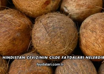 Hindistan Cevizinin Cilde Faydaları Nelerdir?