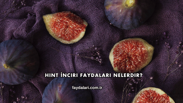 Hint İnciri Faydaları Nelerdir?
