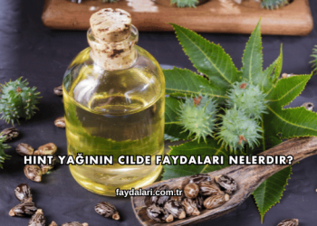Hint Yağının Cilde Faydaları Nelerdir?
