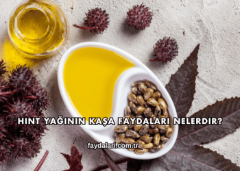 Hint Yağının Kaşa Faydaları Nelerdir?