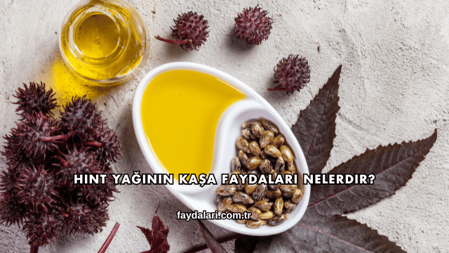 Hint Yağının Kaşa Faydaları Nelerdir?