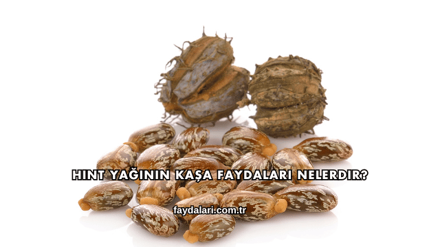 Hint Yağının Kaşa Faydaları Nelerdir?