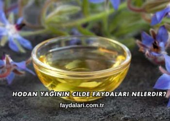 Hodan Yağının Cilde Faydaları Nelerdir?