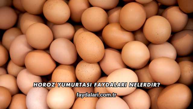 Horoz Yumurtası Faydaları Nelerdir?