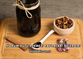 Horum Dutu Pekmezi Faydaları Nelerdir?