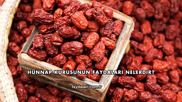 Hünnap Kurusunun Faydaları Nelerdir?