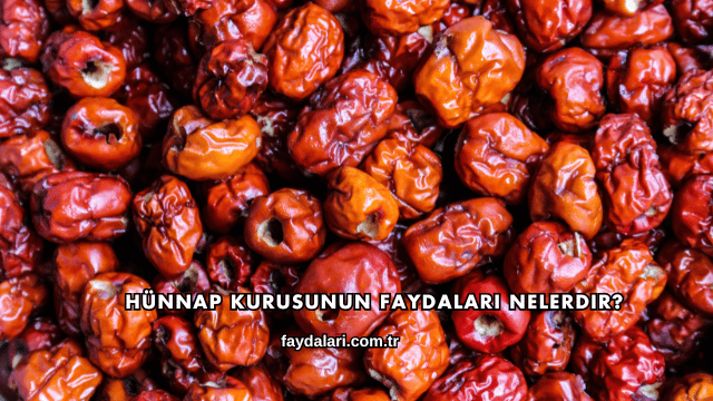Hünnap Kurusunun Faydaları Nelerdir?