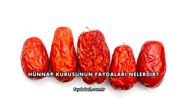Hünnap Kurusunun Faydaları Nelerdir?