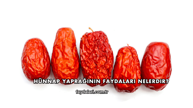 Hünnap Yaprağının Faydaları Nelerdir?