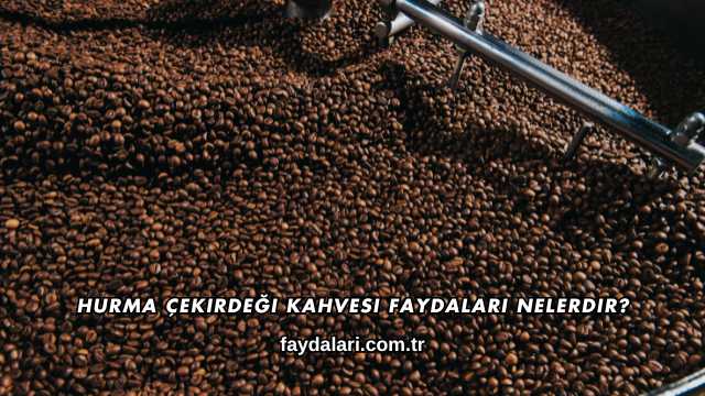 Hurma Çekirdeği Kahvesi Faydaları Nelerdir?