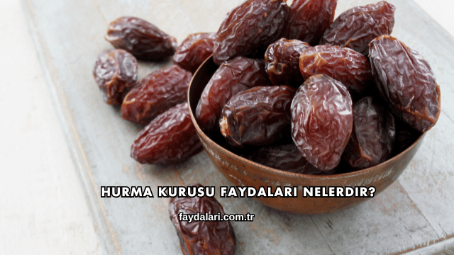 Hurma Kurusu Faydaları Nelerdir?
