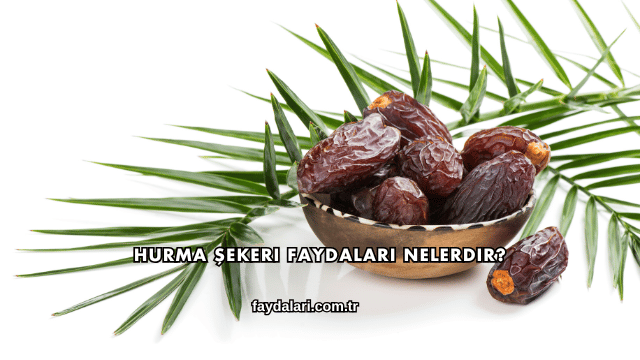 Hurma Şekeri Faydaları Nelerdir?