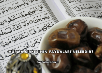 Hurma Sirkesinin Faydaları Nelerdir?