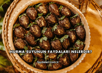 Hurma Suyunun Faydaları Nelerdir?