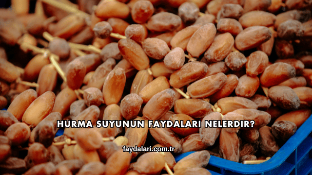 Hurma Suyunun Faydaları Nelerdir?