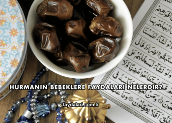 Hurmanın Bebeklere Faydaları Nelerdir?