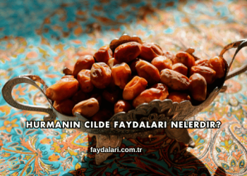 Hurmanın Cilde Faydaları Nelerdir?