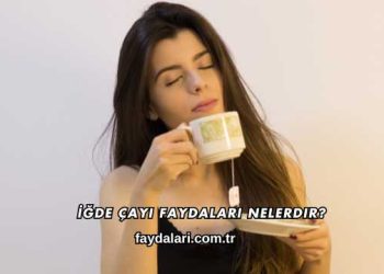 İğde Çayı Faydaları Nelerdir?