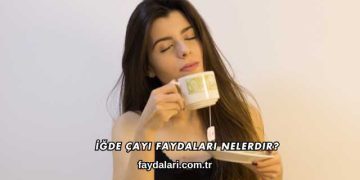 İğde Çayı Faydaları Nelerdir?