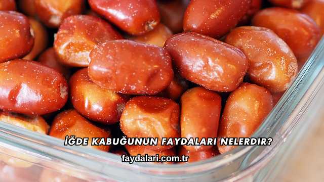 İğde Kabuğunun Faydaları Nelerdir?