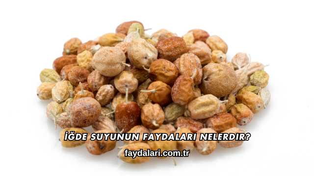 İğde Suyunun Faydaları Nelerdir?