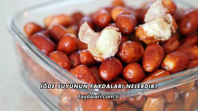 İğde Suyunun Faydaları Nelerdir?