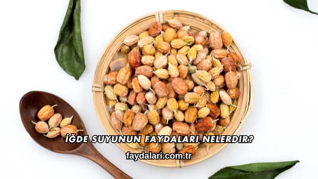 İğde Suyunun Faydaları Nelerdir?