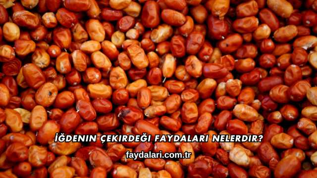 İğdenin Çekirdeği Faydaları Nelerdir?