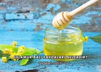 Ihlamur Balı Faydaları Nelerdir?