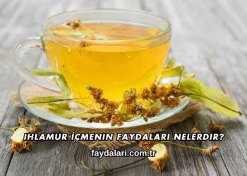 Ihlamur İçmenin Faydaları Nelerdir?