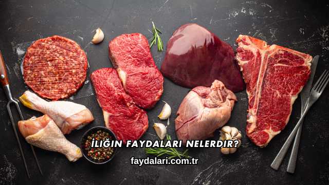 İliğin Faydaları Nelerdir?