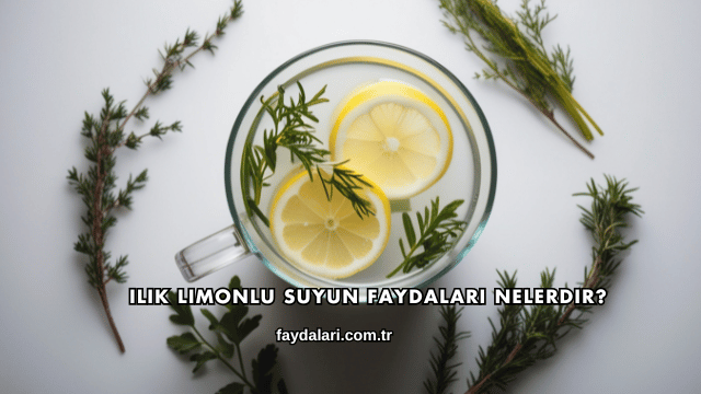 Ilık Limonlu Suyun Faydaları Nelerdir?