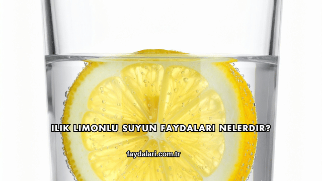 Ilık Limonlu Suyun Faydaları Nelerdir?