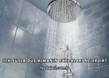 Ilık Suyla Duş Almanın Faydaları Nelerdir?