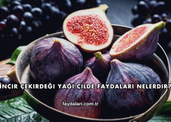 İncir Çekirdeği Yağı Cilde Faydaları Nelerdir?