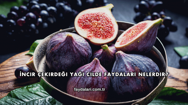 İncir Çekirdeği Yağı Cilde Faydaları Nelerdir?