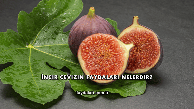 İncir Cevizin Faydaları Nelerdir?