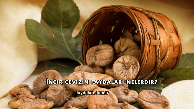 İncir Cevizin Faydaları Nelerdir?
