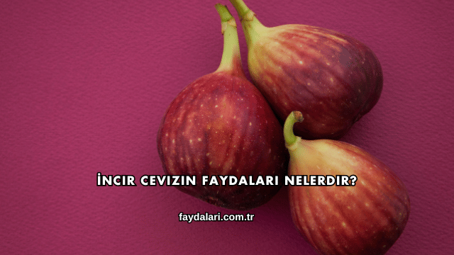 İncir Cevizin Faydaları Nelerdir?
