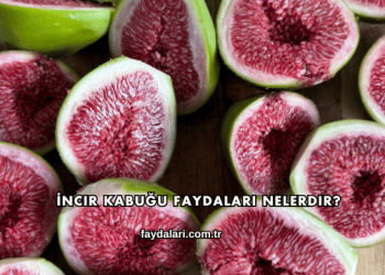 İncir Kabuğu Faydaları Nelerdir?