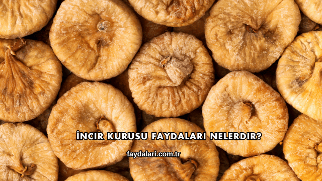 İncir Kurusu Faydaları Nelerdir?