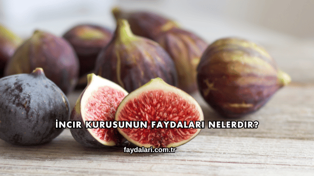 İncir Kurusunun Faydaları Nelerdir?